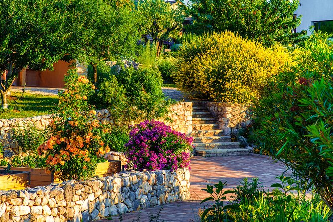 Visit Klis fortress GOT & Olive museum Klis - Value check: is $14.48 a fair deal?