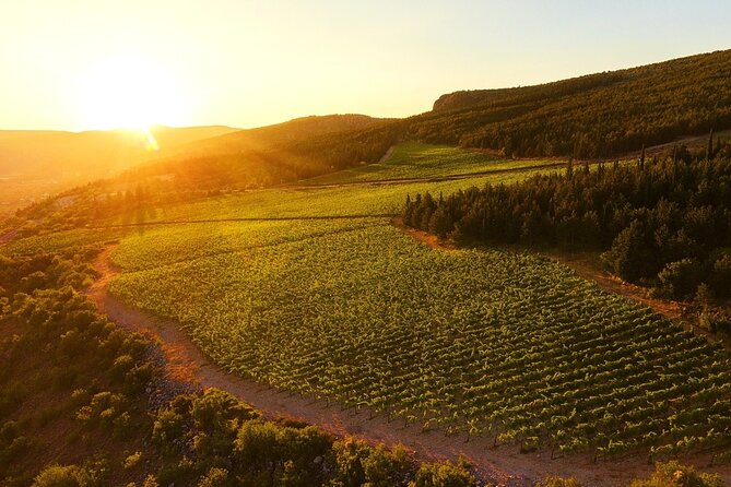 Wine Tasting Grabovac Tour From Makarska - Who this tour fits best, and who might skip it