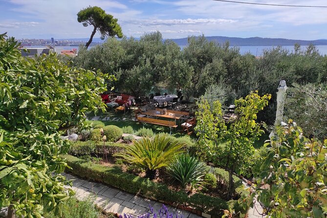 Zinfandel Wine Tasting & Storytelling with Dalmatian Food - Should you book Zinfandel Wine Tasting with Dalmatian Food?