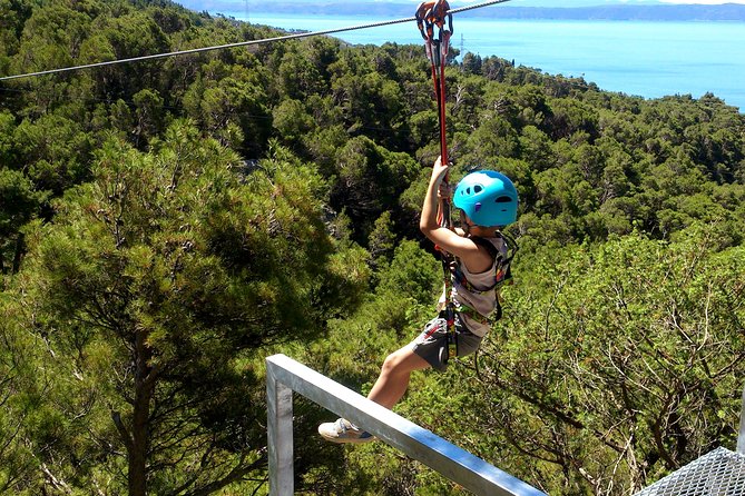 Zip line Tucepi - Key highlights to know before you go
